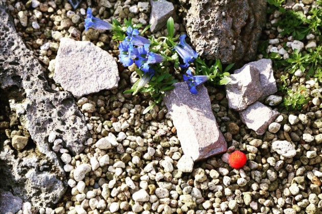 image2(1)